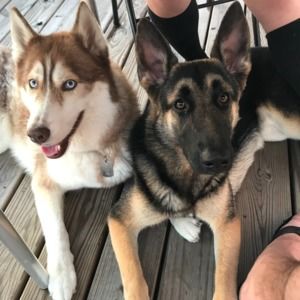 Meet your Posher, Amanda